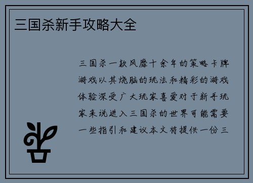 三国杀新手攻略大全