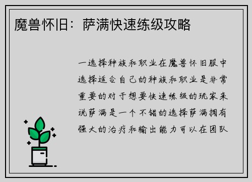 魔兽怀旧：萨满快速练级攻略